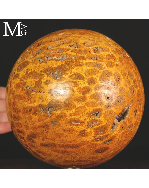 Sfera di Corallo Fossile del Madagascar.