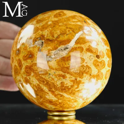 Jurassic Fossil Coral Sphere – Madagascar - SCF-20
