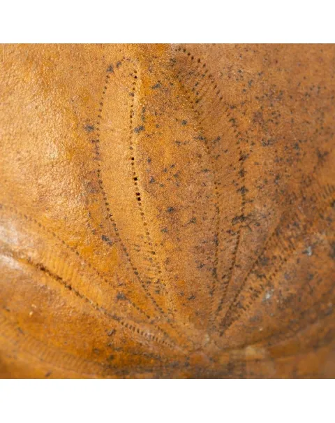 Elemento Fossile di Storia Naturale - Clypeaster