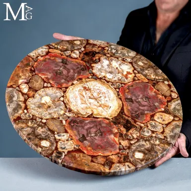 Tavolo in Legno Fossile - Atlante Geologico da Int...