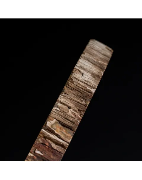 Lastra Legno Fossile