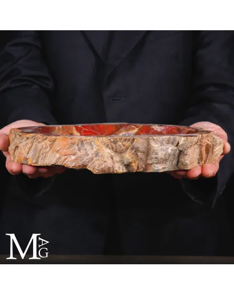 Portaoggetti in Legno Fossile - Foresta Pietrificata
