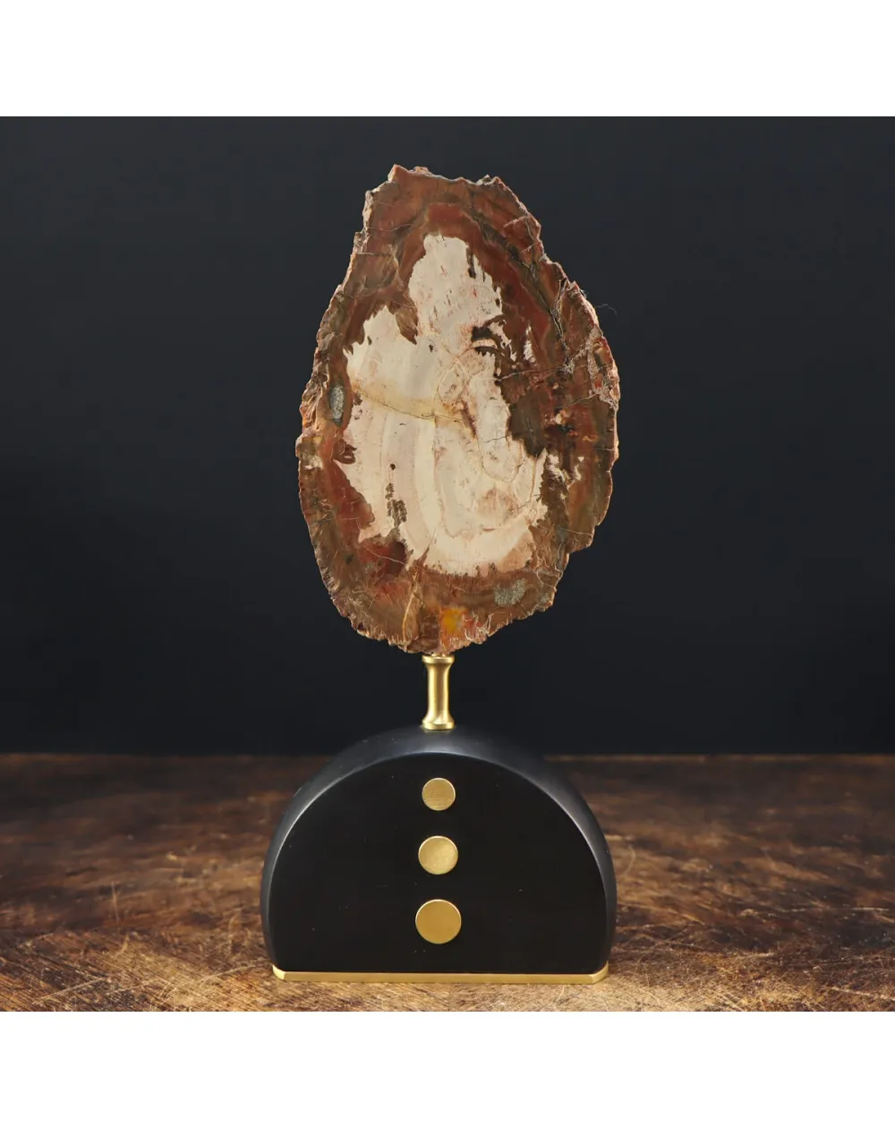 Legno di Auricaria Pietrificata su base