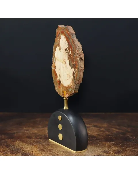 Legno di Auricaria Pietrificata su base