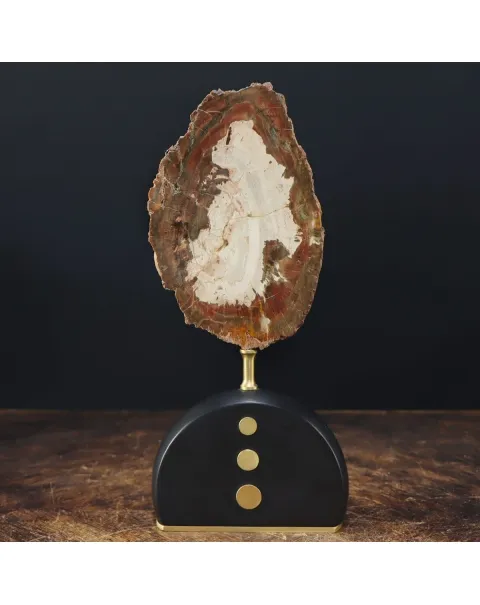 Legno di Auricaria Pietrificata su base