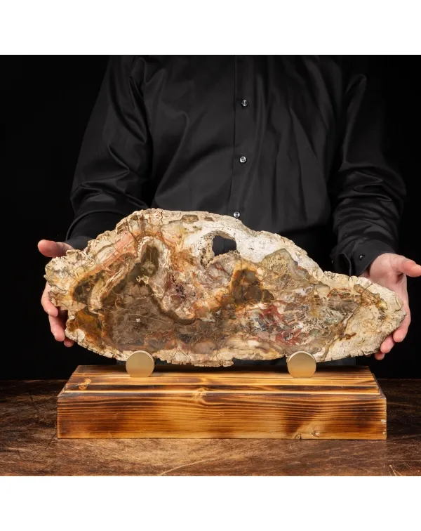 Lastra di Legno Fossile su Piedistallo 
