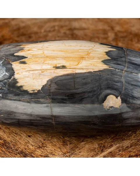 Ovale Legno Pietrificato