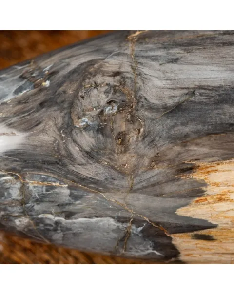 Ovale Legno Pietrificato