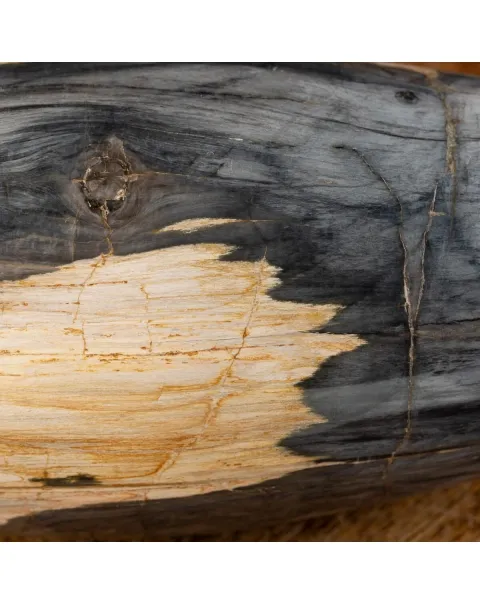 Ovale Legno Pietrificato