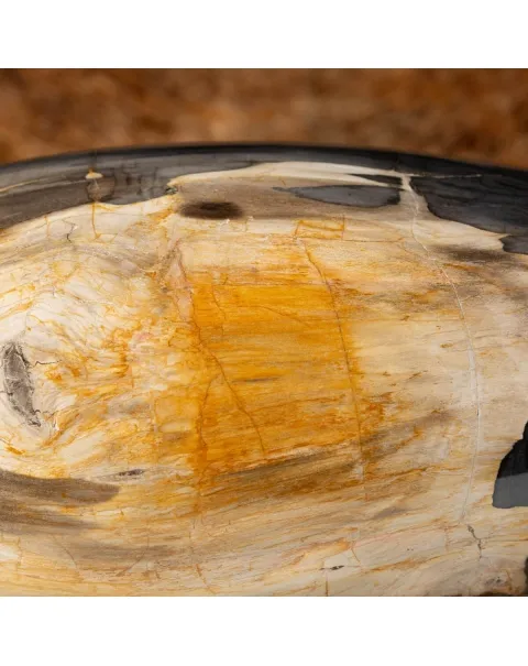 Ovale Legno Pietrificato
