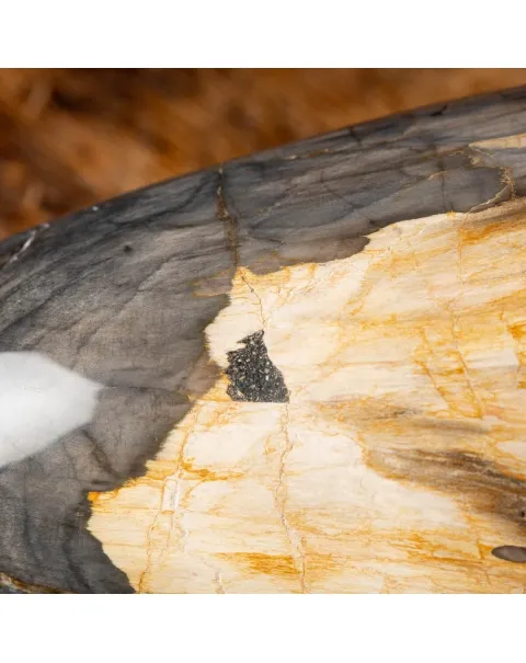 Ovale Legno Pietrificato