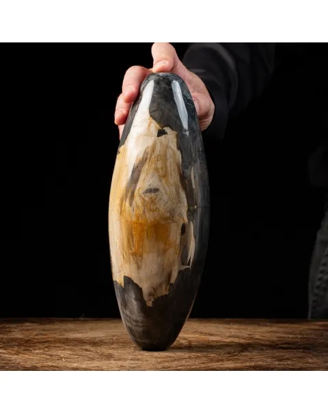 Ovale Legno Pietrificato