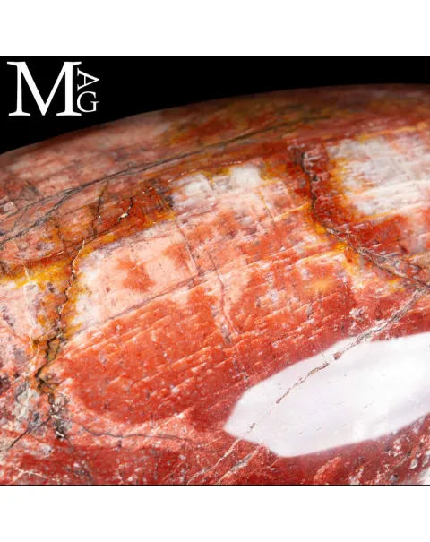 Shiva Lingam in Legno Fossile Agatizzato.