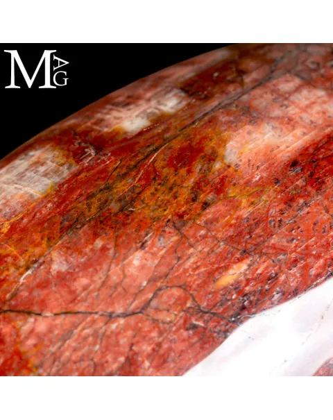 Shiva Lingam in Legno Fossile Agatizzato.