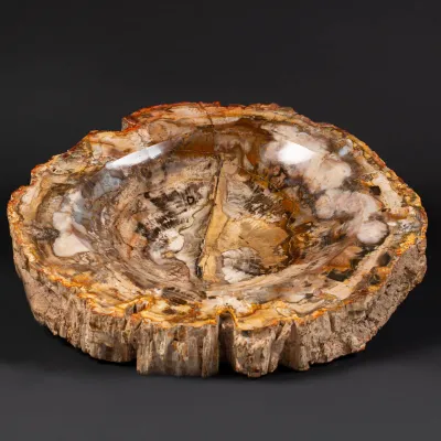Portaoggetti in Legno Fossile