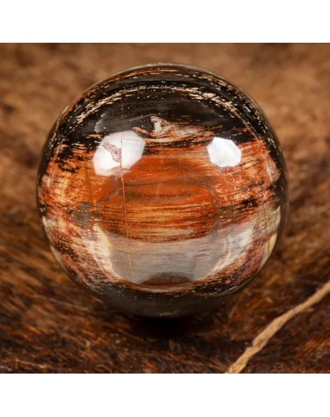 Sfera di Legno Pietrificato