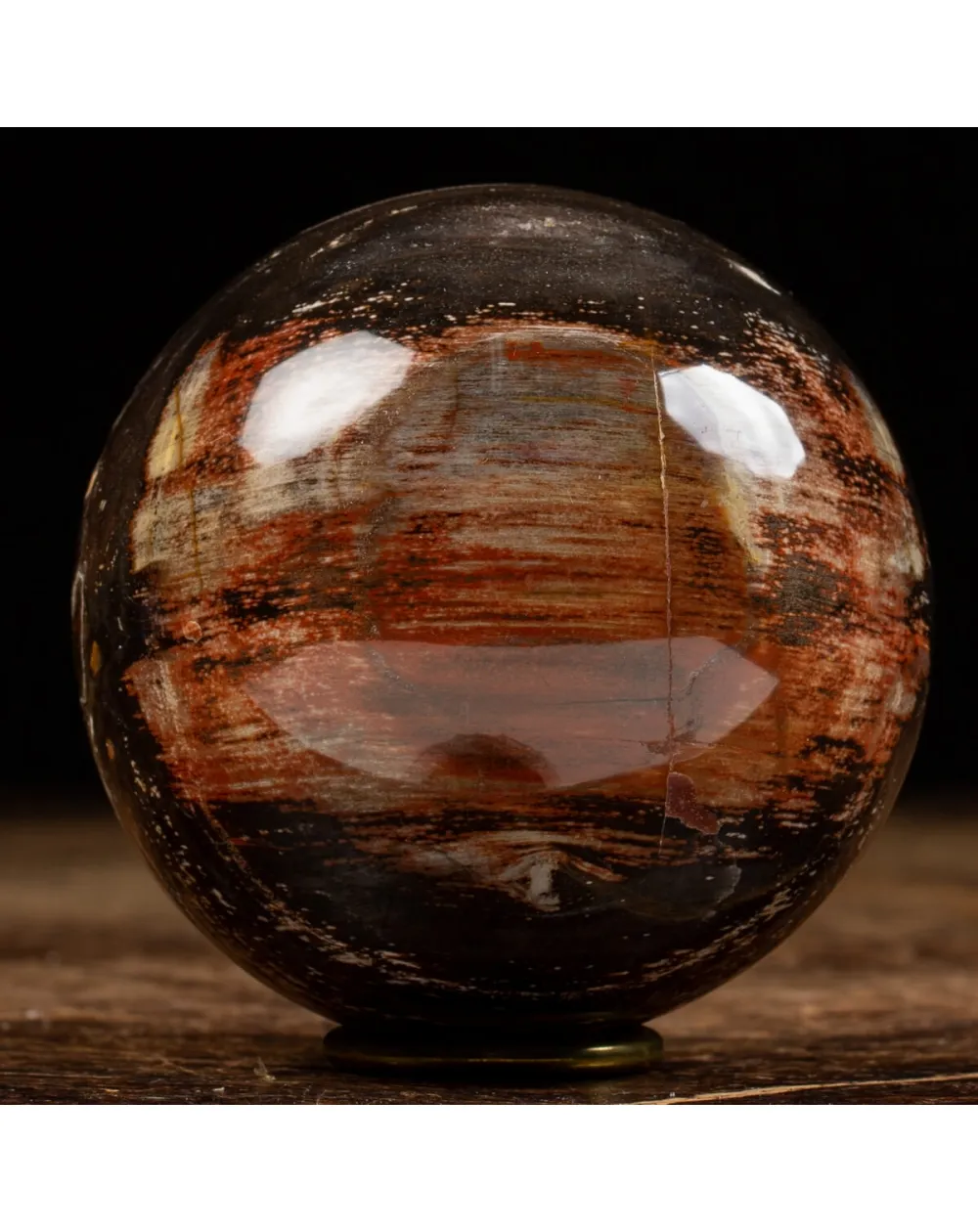 Sfera di Legno Pietrificato