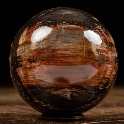 Sfera di Legno Pietrificato