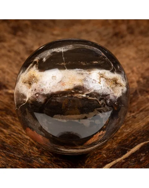 Sfera di Legno Pietrificato