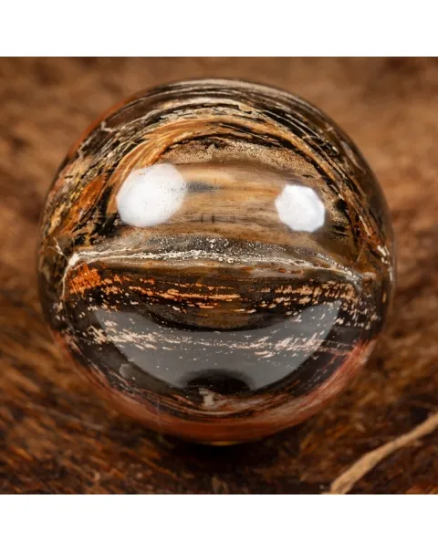 Sfera di Legno Pietrificato