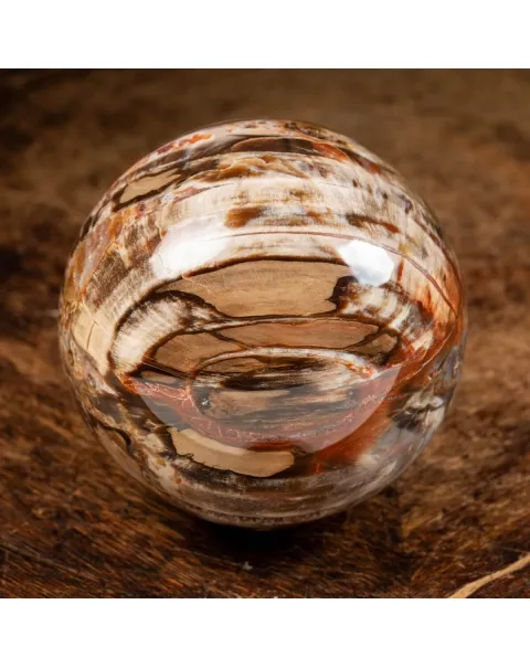 Sfera di Legno Pietrificato