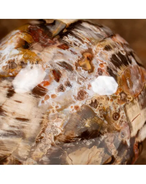 Sfera di Legno Pietrificato