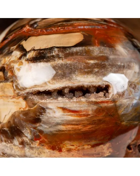 Sfera di Legno Pietrificato