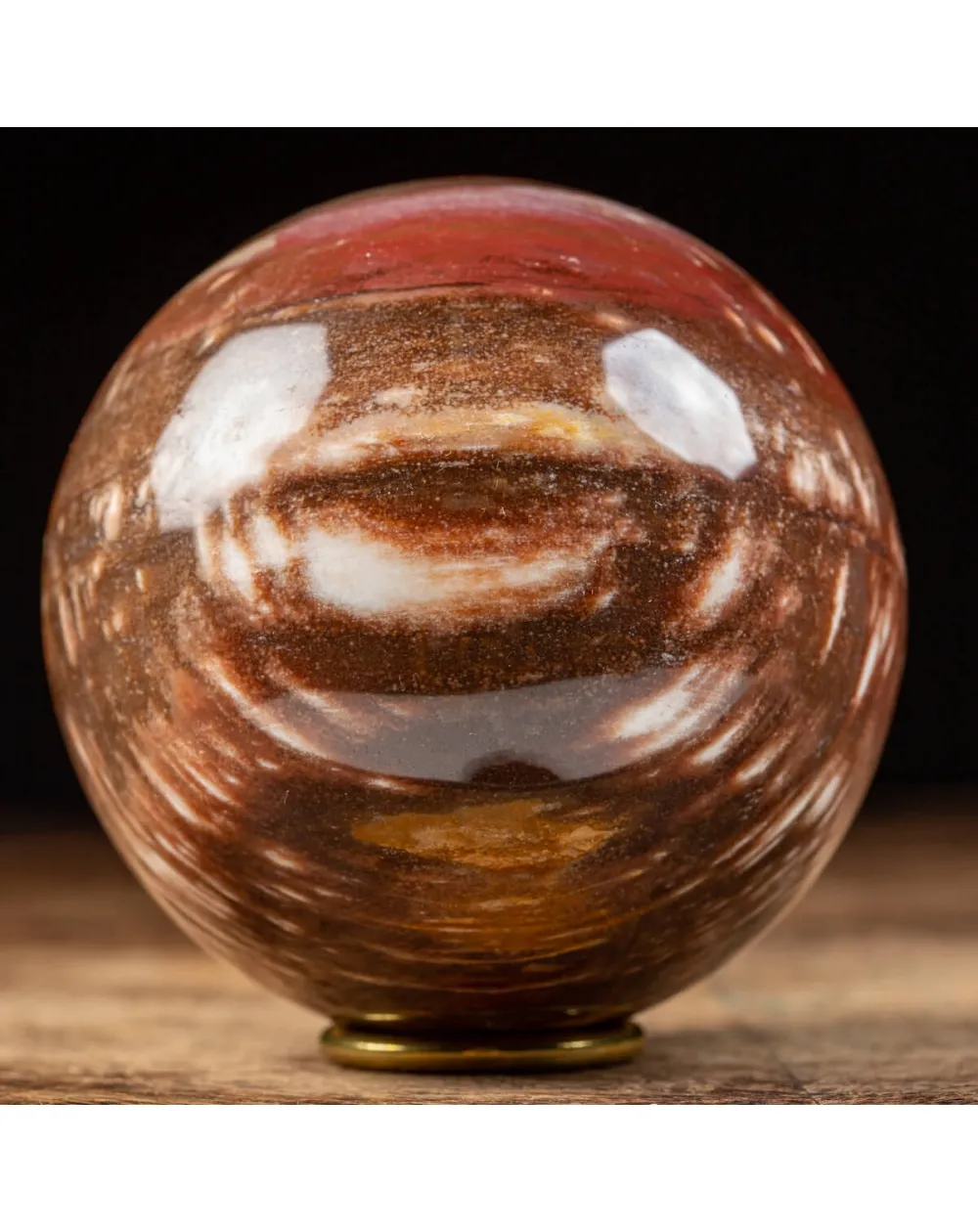 Sfera di Legno Pietrificato