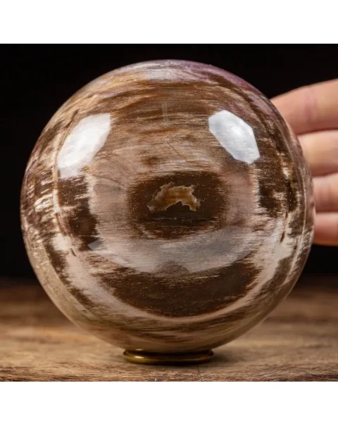 Sfera di Legno Pietrificato