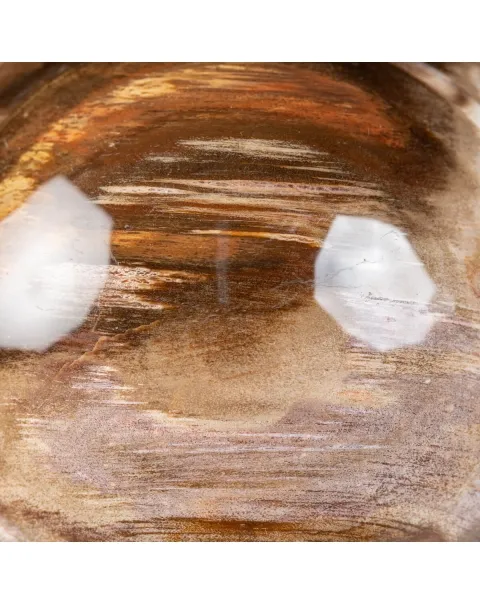 Sfera di Legno Pietrificato