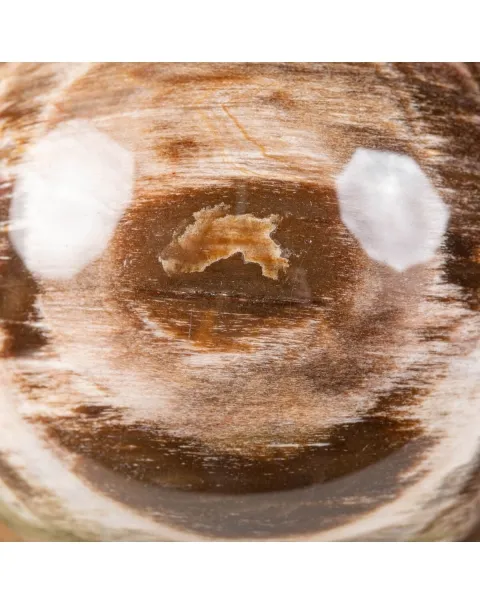 Sfera di Legno Pietrificato