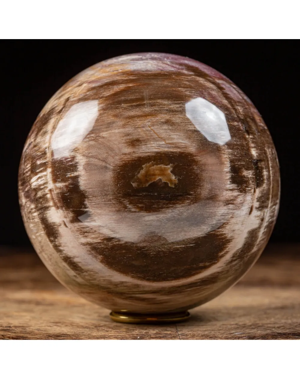 Sfera di Legno Pietrificato