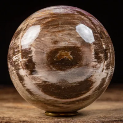 Sfera di Legno Pietrificato
