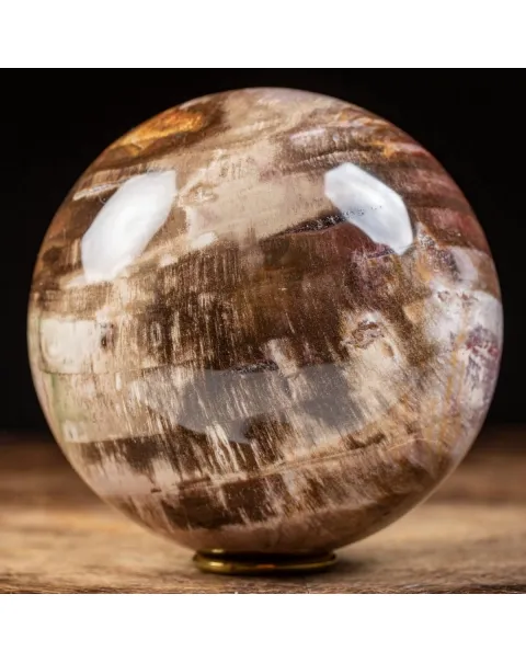 Sfera di Legno Pietrificato