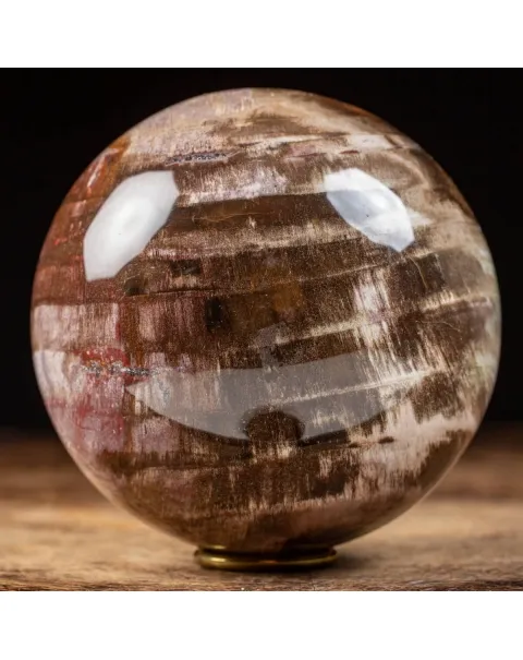 Sfera di Legno Pietrificato