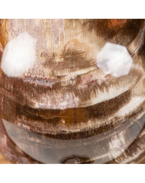 Sfera di Legno Pietrificato
