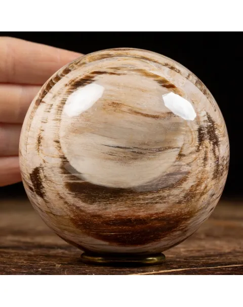 Sfera di Legno Pietrificato