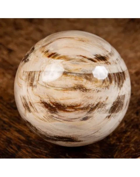 Sfera di Legno Pietrificato