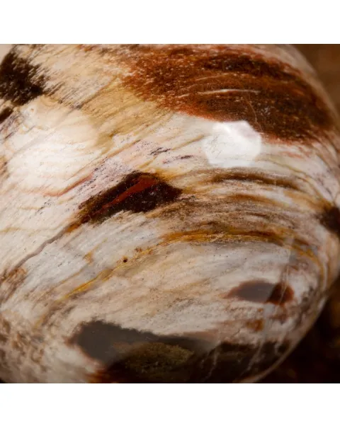 Sfera di Legno Pietrificato