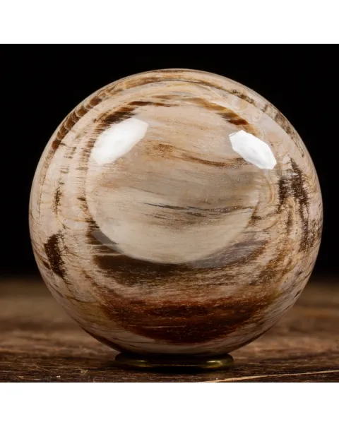 Sfera di Legno Pietrificato