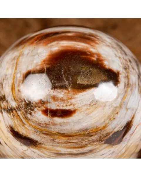 Sfera di Legno Pietrificato