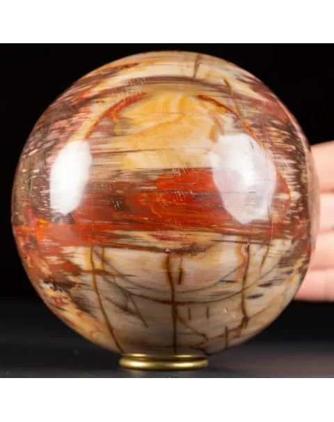 Sfera di Legno Pietrificato