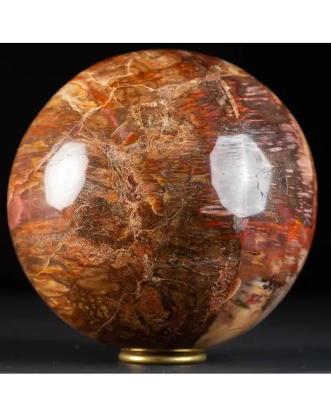 Sfera di Legno Pietrificato