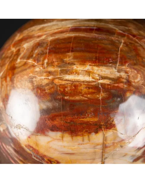 Sfera di Legno Pietrificato