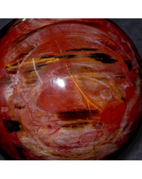 Sfera in Legno Fossile del Madagascar.