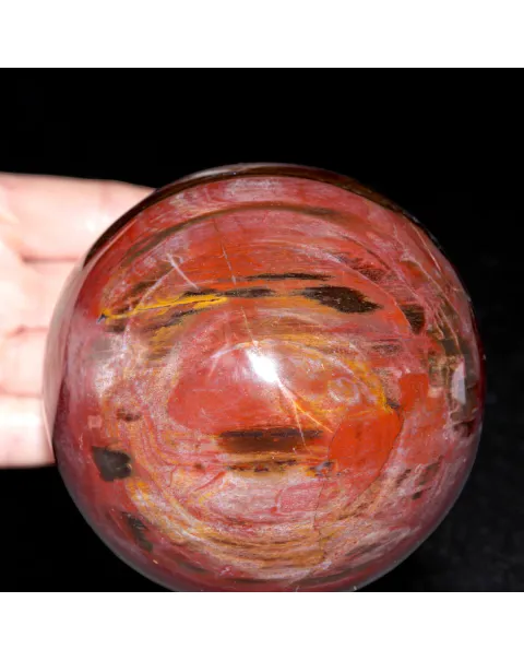 Sfera in Legno Fossile del Madagascar.