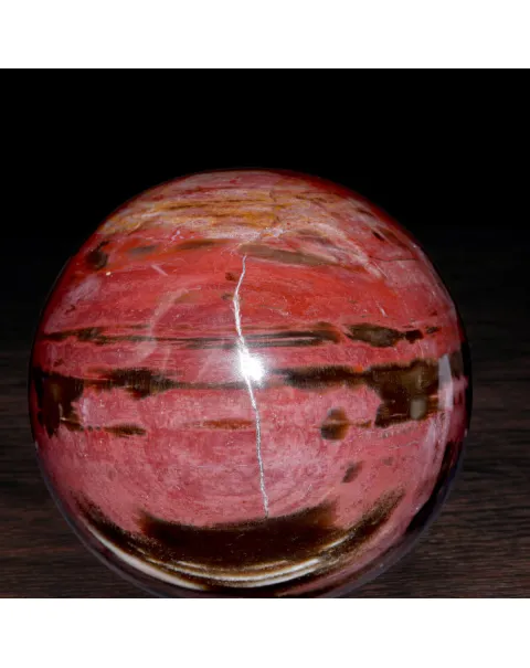Sfera in Legno Fossile del Madagascar.
