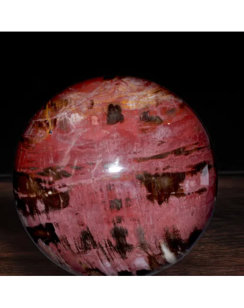 Sfera in Legno Fossile del Madagascar.