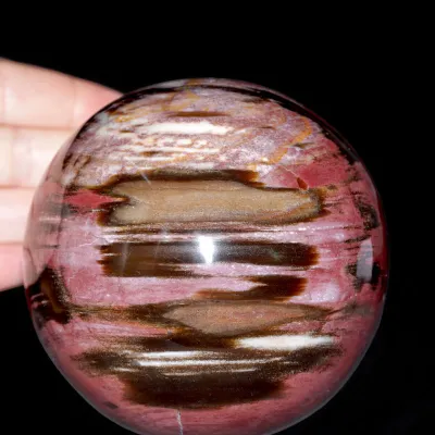 Sfera in Legno Fossile del Madagascar.