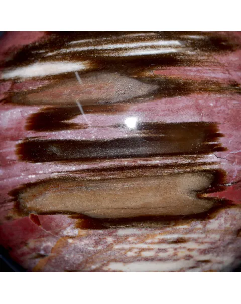Sfera in Legno Fossile del Madagascar.